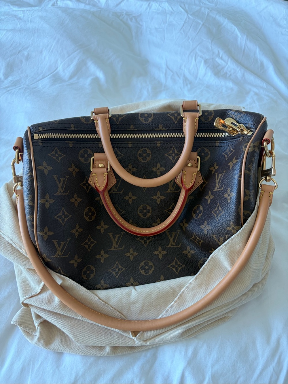 Louis Vuitton Monogram Satchel with Tan Trim and Gold Hardware